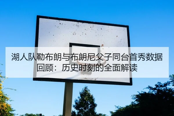 hu-ren-dui-lei-bu-lang-yu-bu-lang-ni-fu-zi-tong-tai-shou-xiu-shu-ju-hui-gu-li-shi-shi-ke-de-quan-mian-jie-du-1-164.jpg
